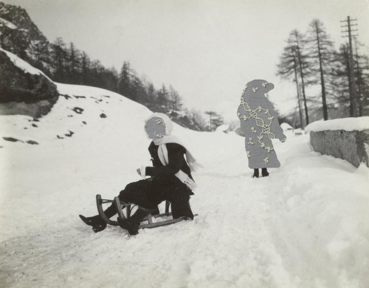 Soeurs, nos forêts ont aussi des épines