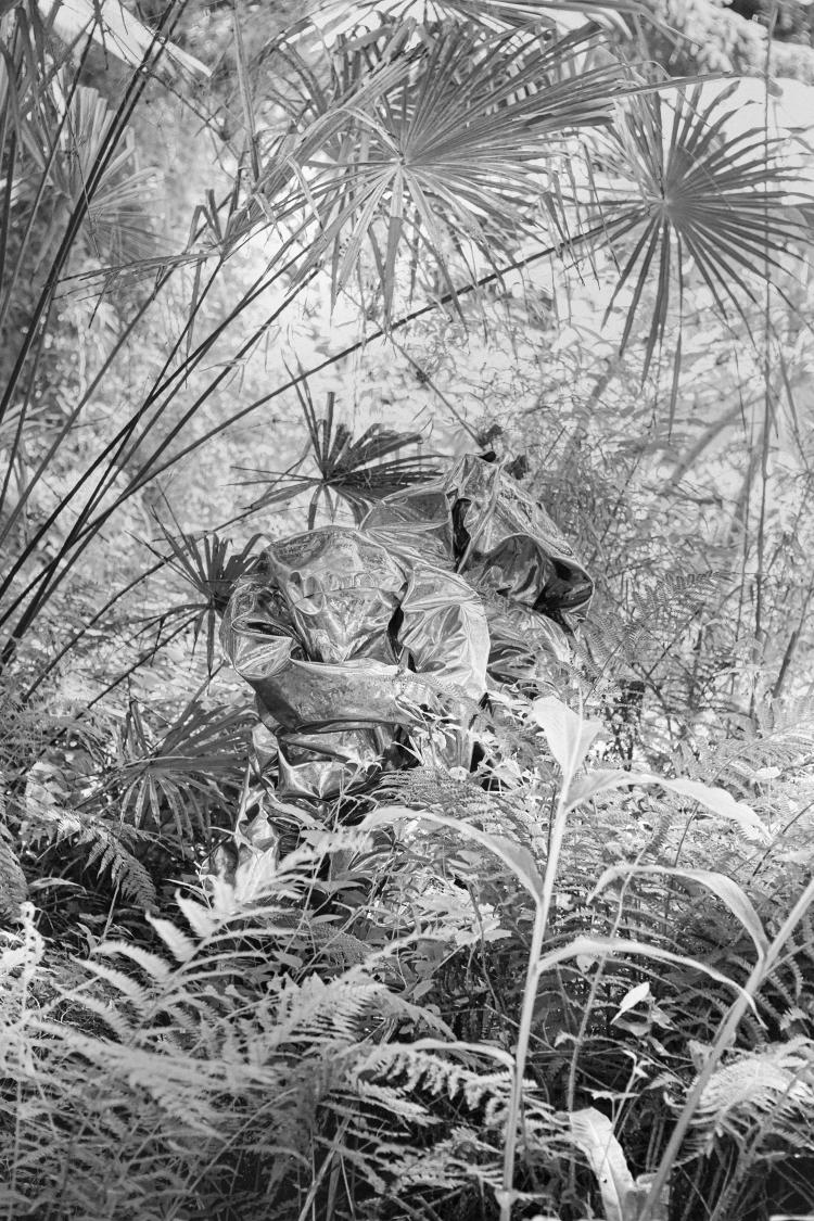 Troisième nature